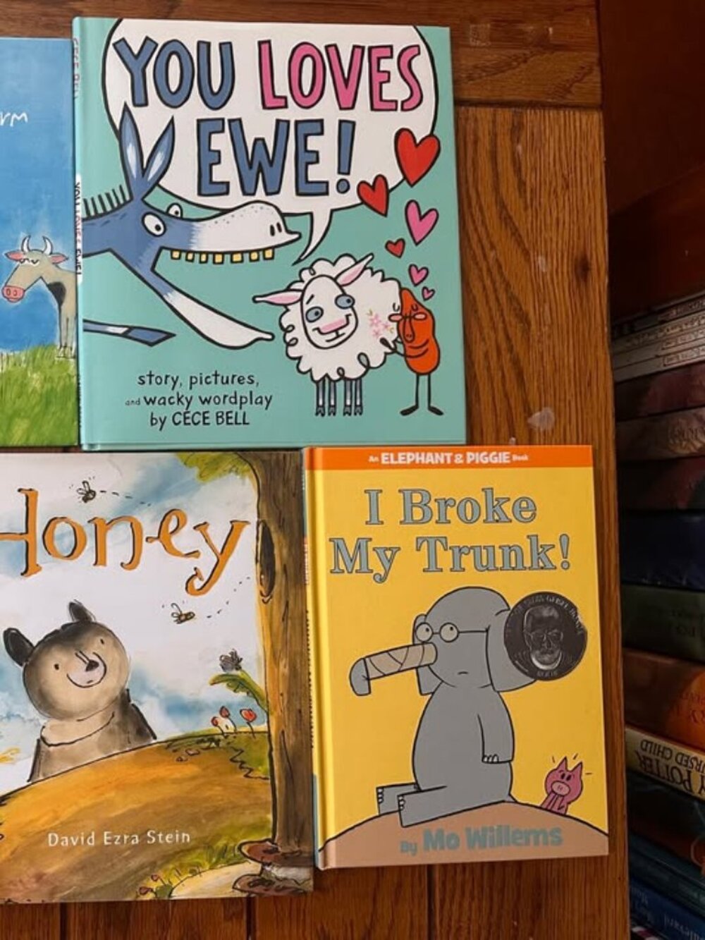 Mo Willems & More Book Bundle - Picture 2 of 3